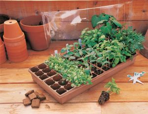 Seed_Starting_Kit