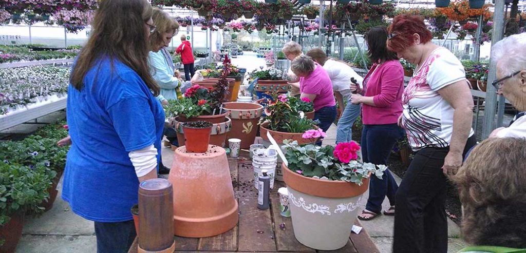 Donaldson’s Greenhouse