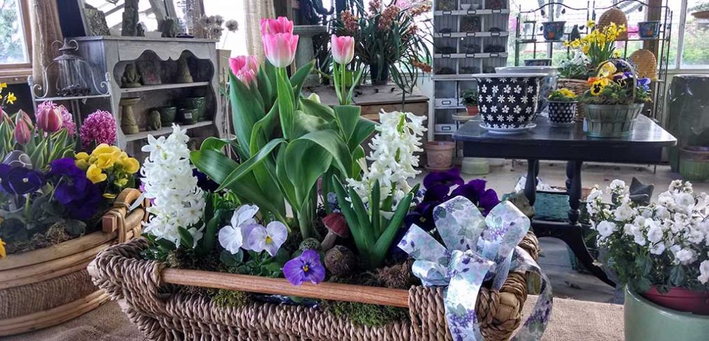 Donaldson’s Greenhouse