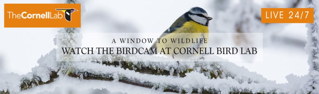 Donaldson’s Greenhouse