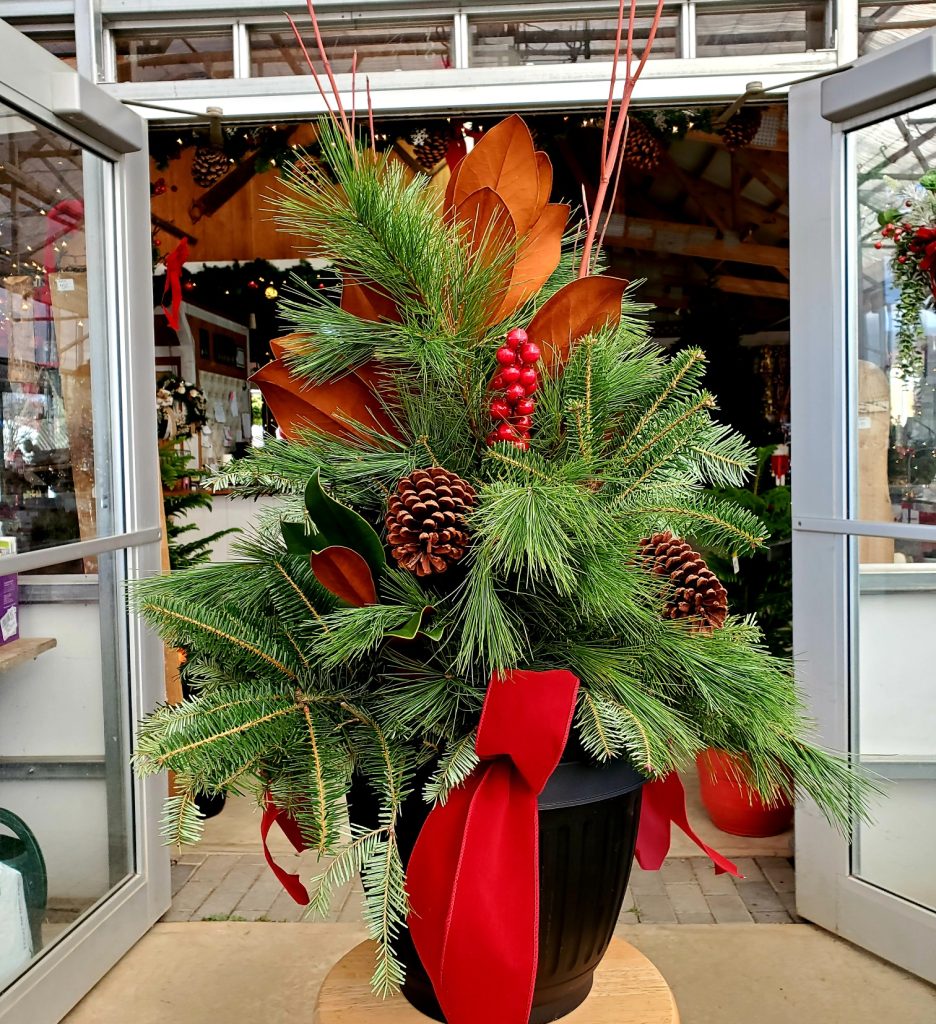 Donaldson’s Greenhouse